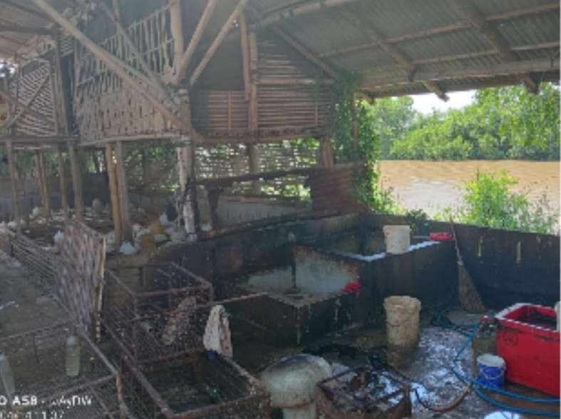Diduga Ingin Meraup Untung Banyak, Usaha Ini Memakai Gas Subsidi