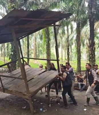 Polsek Na IX-X Tindak Lanjuti Aduan Warga, Gubuk di Perkebunan Sawit Silumajang Dirobohkan